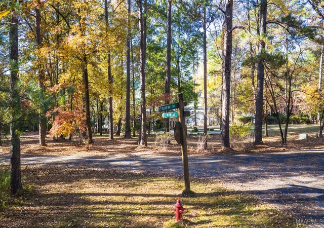 Homes for sale in Alexander City, AL | 1 Willow Ln, Alexander City, AL 35010 | MLS# 581762