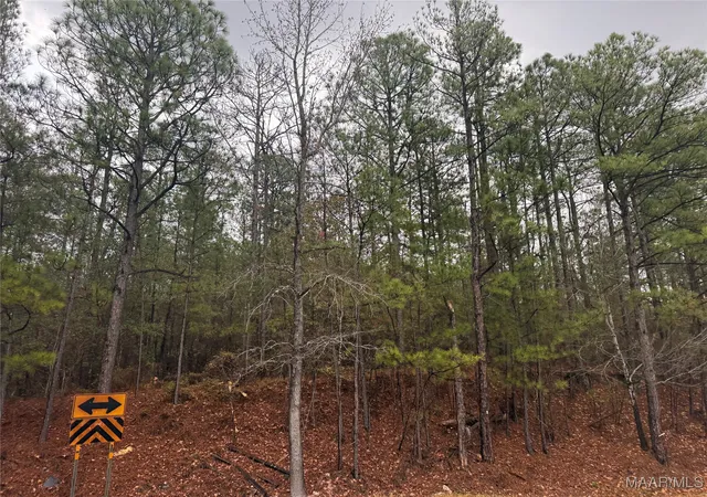 1st image of 0 Flatrock Rd, Tallassee, AL 36078 | MLS# 581992
