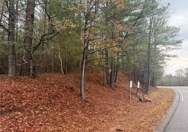 2nd image of 0 Flatrock Rd, Tallassee, AL 36078 | MLS# 581992