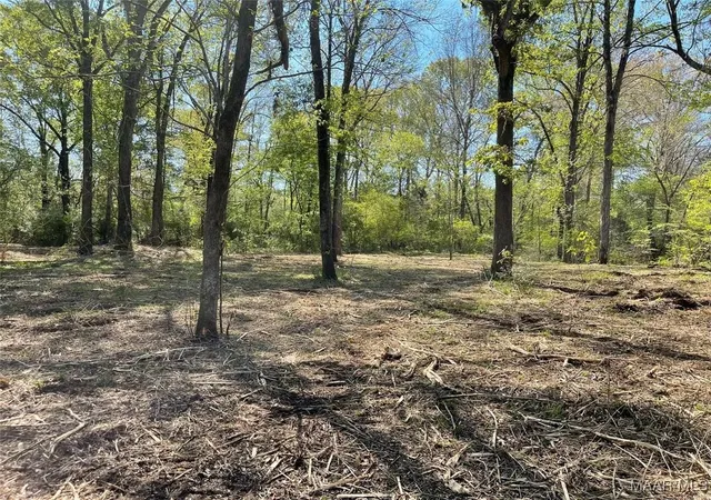 3rd image of 115 Cahaba View Dr, Selma, AL 36702 | MLS# 582007
