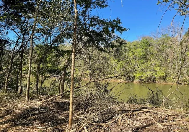 4th image of 115 Cahaba View Dr, Selma, AL 36702 | MLS# 582007