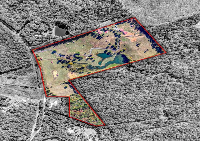 60th image of 15315 County Road 56 Road, Sylacauga, AL 35151 | MLS# 582016