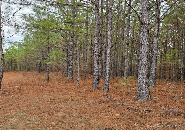 4th image of 12B Hwy 69 Hwy #12B, Chelsea, AL 35043 | MLS# 582079