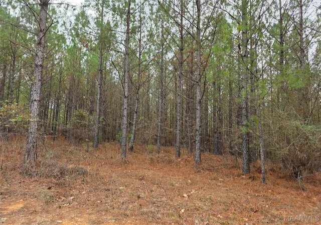 5th image of 12B Hwy 69 Hwy #12B, Chelsea, AL 35043 | MLS# 582079