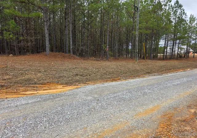 7th image of 12b Hwy 69 Hwy #12B, Chelsea, AL 35043 | MLS# 582079