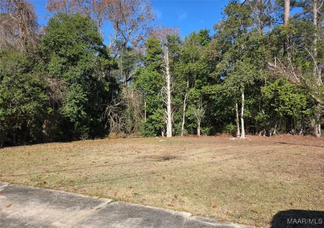 1st image of 229 Cresthaven Ct, Selma, AL 36701 | MLS# 582252