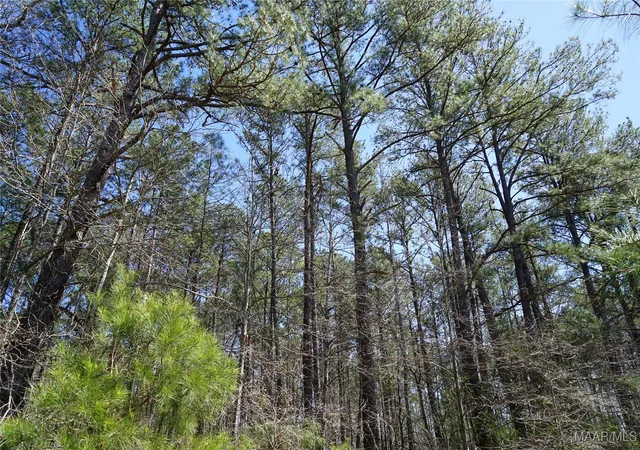 2nd image of 831 Old Barnes Rd, Mathews, AL 36065 | MLS# 582273