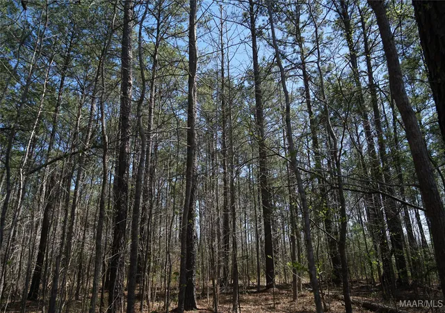 3rd image of 831 Old Barnes Rd, Mathews, AL 36065 | MLS# 582273