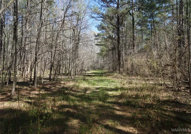 4th image of 831 Old Barnes Rd, Mathews, AL 36065 | MLS# 582273