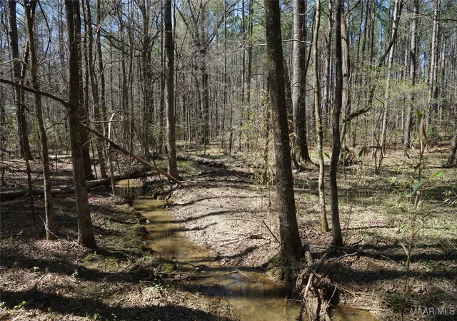 5th image of 831 Old Barnes Rd, Mathews, AL 36065 | MLS# 582273
