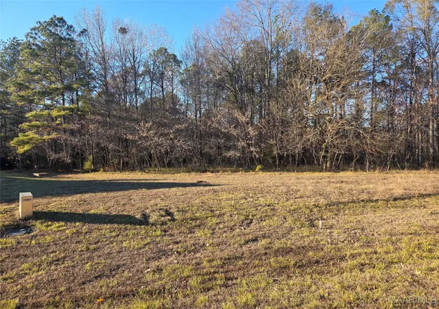 Photo 1 of Land for sale at 127 Woods N Water Ln, Mathews, AL 36052 | MLS# 582289 | Listing updated on 2026-08-26
