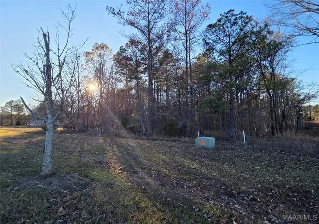 Photo 2 of Land for sale at 127 Woods N Water Ln, Mathews, AL 36052 | MLS# 582289 | Listing updated on 2026-08-26