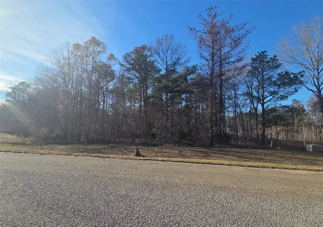 Photo 3 of Land for sale at 127 Woods N Water Ln, Mathews, AL 36052 | MLS# 582289 | Listing updated on 2026-08-26