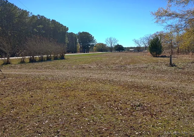 Photo 4 of Single family home for sale at 9841 Wesley Chapel Rd, Georgiana, AL 36033 | MLS# 582360 | Listing updated on 2026-06-16