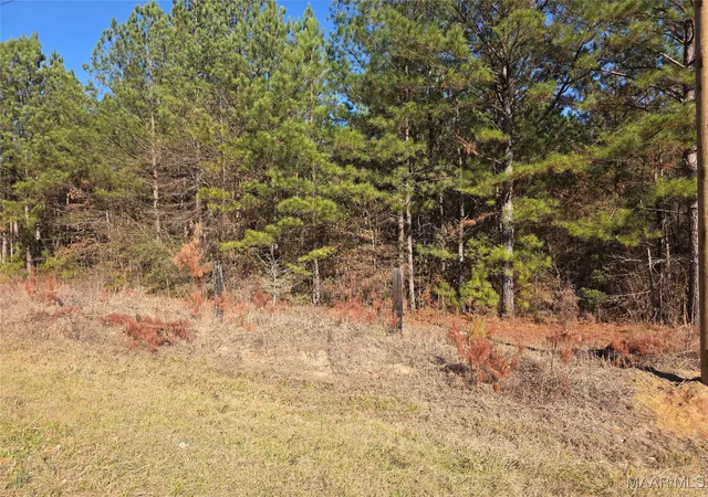 Photo 1 of Land for sale at 0 Amber Rd, Shorter, AL 36075 | MLS# 582447 | Listing updated on 2026-08-19