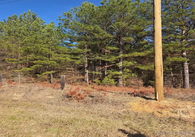 Photo 2 of Land for sale at 0 Amber Rd, Shorter, AL 36075 | MLS# 582447 | Listing updated on 2026-08-19