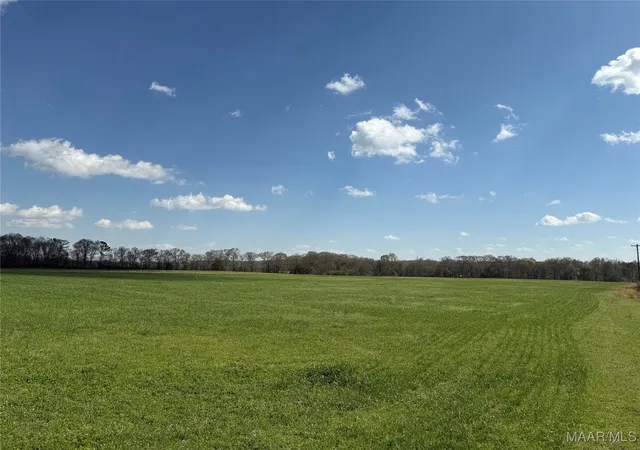 13th image of 2 County Road 81, Booth, AL 36008 | MLS# 582666