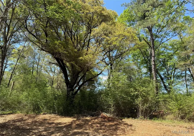 1st image of 2 County Road 81, Booth, AL 36008 | MLS# 582666