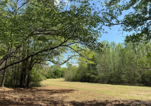 2nd image of 2 County Road 81, Booth, AL 36008 | MLS# 582666