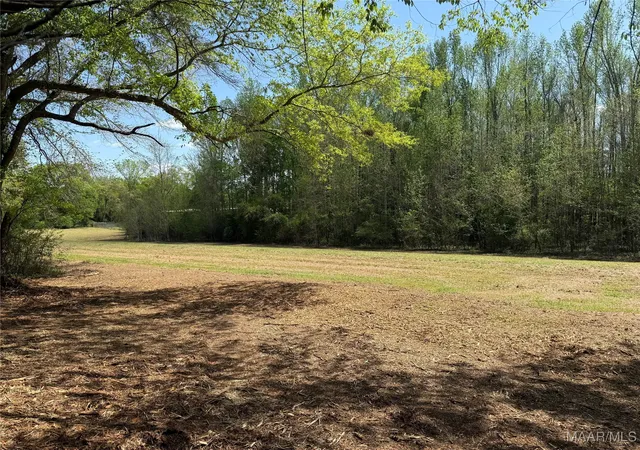 3rd image of 2 County Road 81, Booth, AL 36008 | MLS# 582666