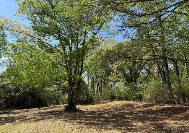 4th image of 2 County Road 81, Booth, AL 36008 | MLS# 582666