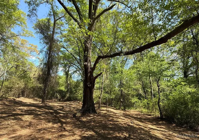 5th image of 2 County Road 81, Booth, AL 36008 | MLS# 582666