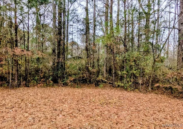 3rd image of 00 Noble Rd, Tallassee, AL 36078 | MLS# 582707