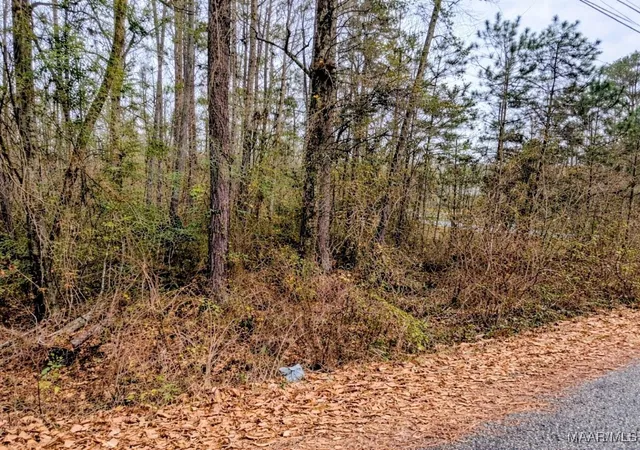5th image of 00 Noble Rd, Tallassee, AL 36078 | MLS# 582707
