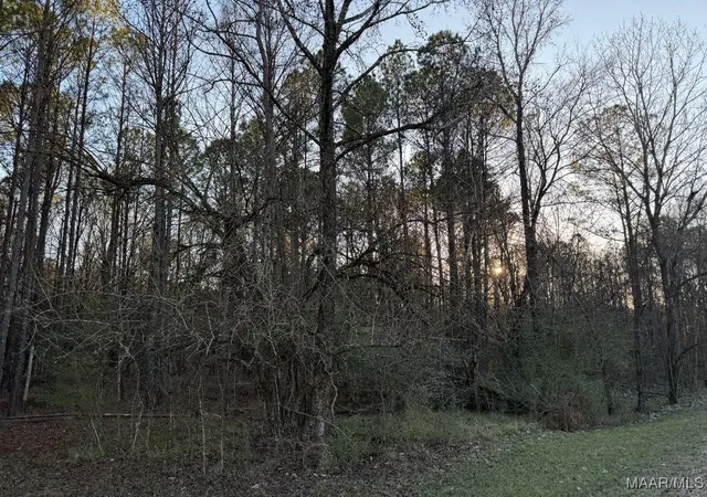 Photo 1 of Land for sale at 0 Hayneville Ridge Rd, Mathews, AL 36052 | MLS# 582967 | Listing updated on 2026-08-28