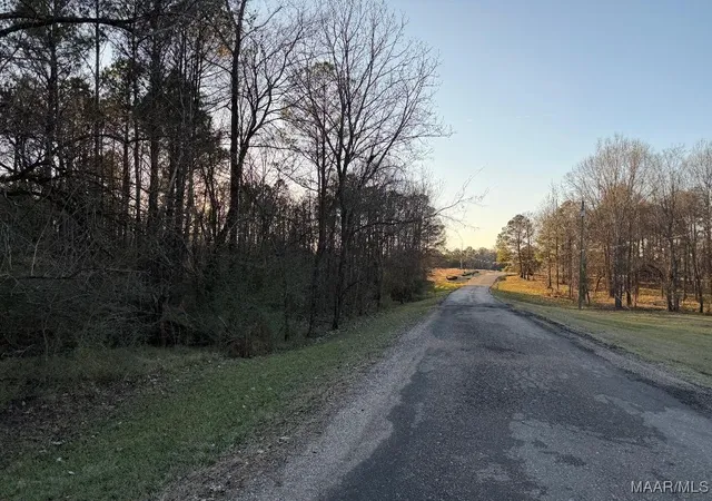 Photo 2 of Land for sale at 0 Hayneville Ridge Rd, Mathews, AL 36052 | MLS# 582967 | Listing updated on 2026-08-28