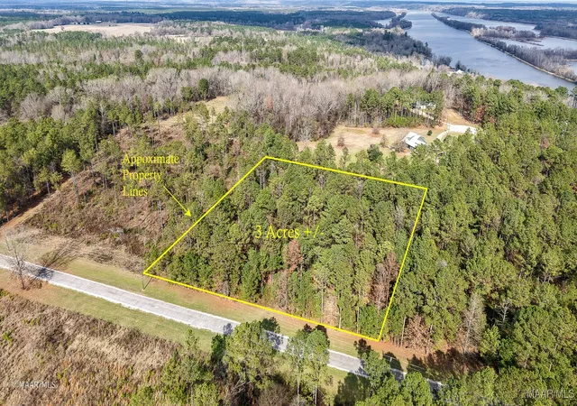 Photo 1 of Land for sale at 29 & 29a Riverview Landing, Camden, AL 36726 | MLS# 582928 | Listing updated on 2026-08-28