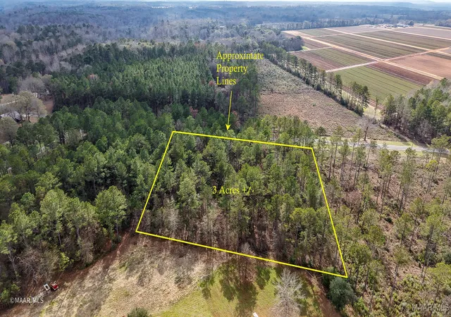 Photo 4 of Land for sale at 29 & 29a Riverview Landing, Camden, AL 36726 | MLS# 582928 | Listing updated on 2026-08-28