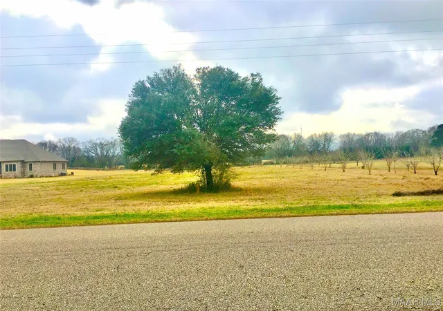 1st image of 1701 Moores Ferry Rd, Selma, AL 36701 | MLS# 583226