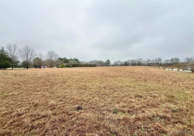 4th image of 1551 Moores Ferry Rd, Selma, AL 36701 | MLS# 583227