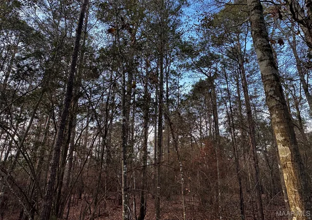 24th image of 0 Raymond Rd, Frisco City, AL 36445 | MLS# 583308
