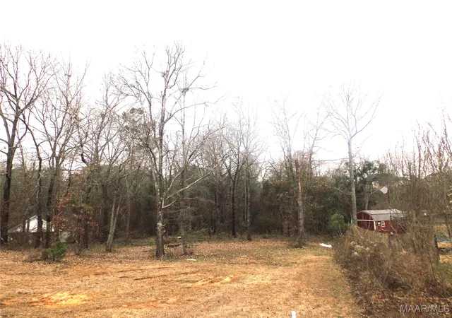 Photo 1 of Land for sale at 1506 White Cloud Dr, Deatsville, AL 36022 | MLS# 583540 | Listing updated on 2026-08-02
