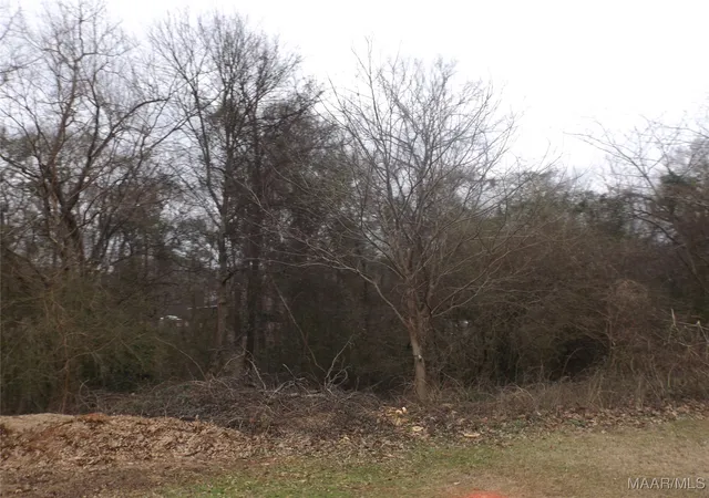 Photo 3 of Land for sale at 1506 White Cloud Dr, Deatsville, AL 36022 | MLS# 583540 | Listing updated on 2026-08-02