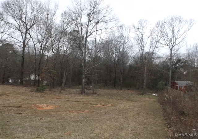 Photo 3 of Land for sale at 1506 White Cloud Dr, Deatsville, AL 36022 | MLS# 583540 | Listing updated on 2026-08-02