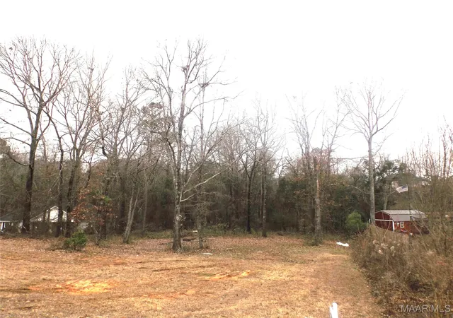 Photo 4 of Land for sale at 1506 White Cloud Dr, Deatsville, AL 36022 | MLS# 583540 | Listing updated on 2026-08-02