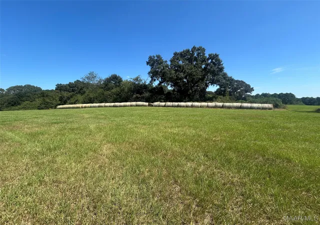Photo 3 of House for sale at 355 County Rd 5522, Troy, AL 36081 | MLS# 583547 | Listing updated on 2026-07-17