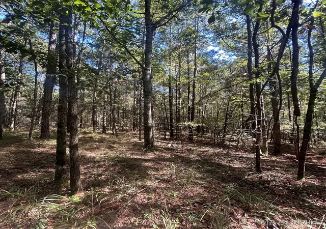 8th image of 355 County Road 5522 Road, Troy, AL 36081 | MLS# 583547