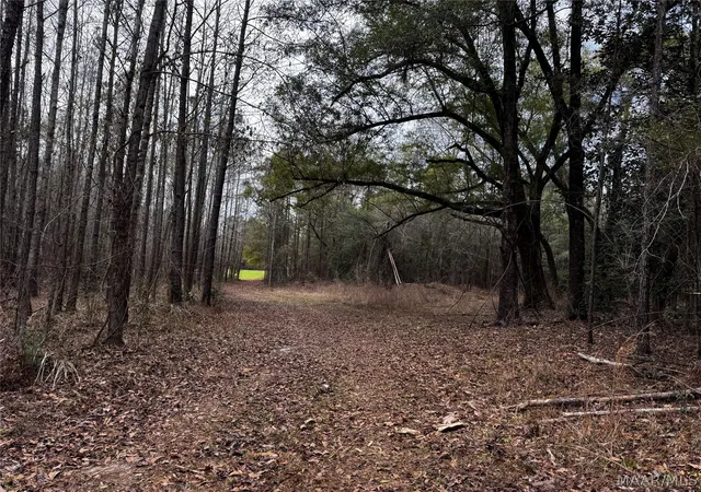 Photo 4 of House for sale at 0 County Rd, Monroeville, AL 36460 | MLS# 583580 | Listing updated on 2026-06-29