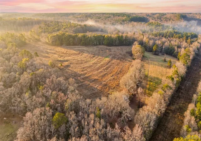 1st image of 1454 County Road 1128 Acres, Troy, AL 36079 | MLS# 583624