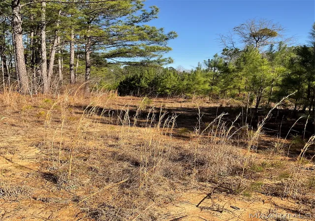 Photo 17 of Sale Pending at 0 County Rd 9 Acres, Tuskegee, AL 36083 | MLS# 584038 | Listing updated on 2026-08-12