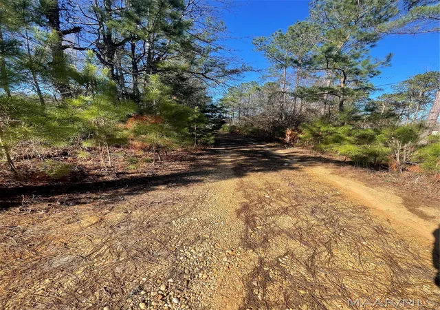 Photo 2 of Sale Pending at 0 County Rd 9 Acres, Tuskegee, AL 36083 | MLS# 584038 | Listing updated on 2026-08-12