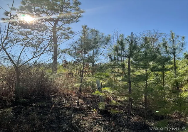 Photo 3 of Sale Pending at 0 County Rd 9 Acres, Tuskegee, AL 36083 | MLS# 584038 | Listing updated on 2026-08-12
