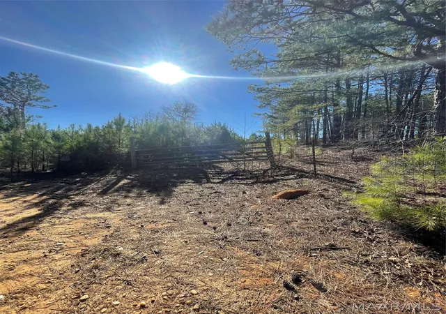 Photo 4 of Sale Pending at 0 County Rd 9 Acres, Tuskegee, AL 36083 | MLS# 584038 | Listing updated on 2026-08-12