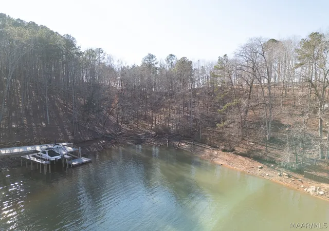 21st image of 0 Bay Point Dr, Jacksons Gap, AL 36861 | MLS# 584289
