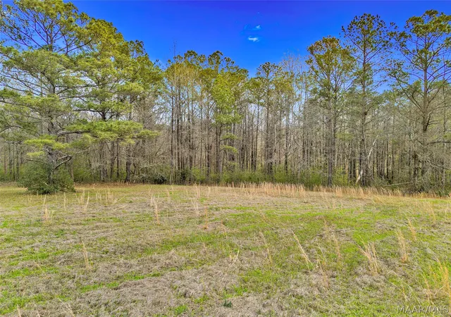 Homes for sale in Prattville, AL | 1232 Ridge Trl, Prattville, AL 36066 | MLS# 584413