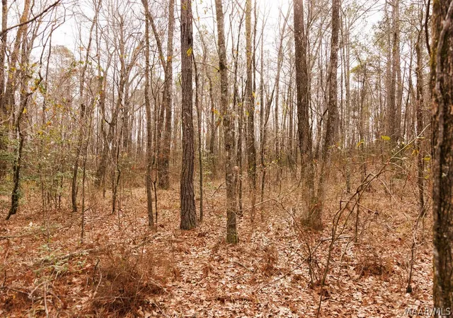 1st image of 3 Jug Factory Rd, Wetumpka, AL 36093 | MLS# 584744